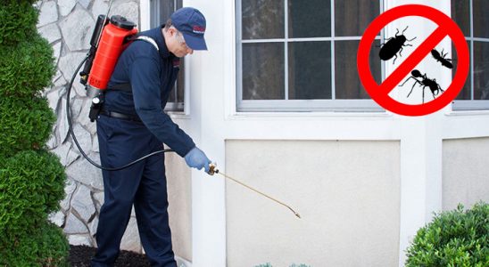 Gerze Hamam Böceği İlaçlama böcek ilaçlama ve haşere kontrolü — ilaclama-tr.com